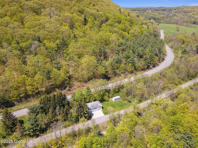 bird's eye view of a forest