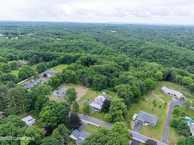 view of property location with a heavily wooded area