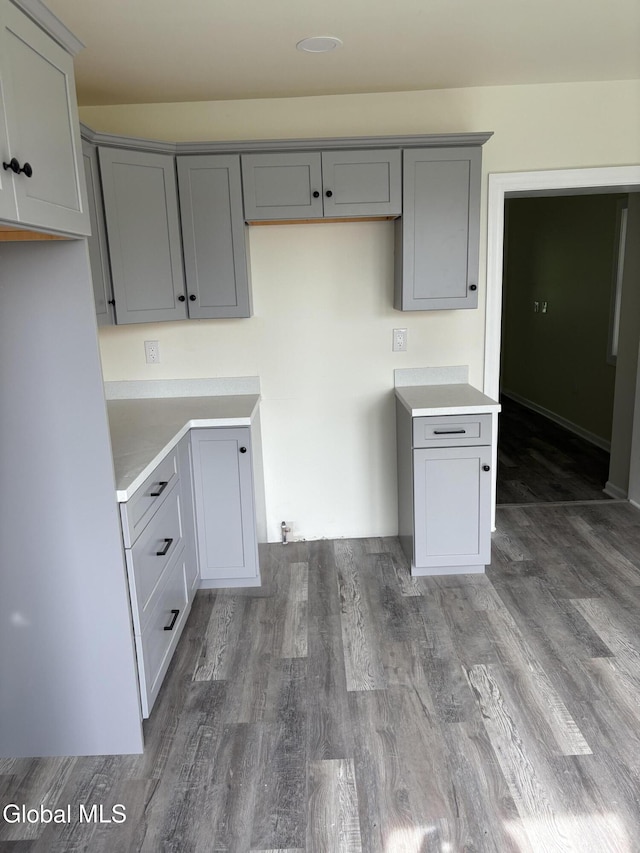 4632 State Highway 30, Broadalbin, NY 12010 - kitchen with gray cabinetry, wood finished floors, and light countertops