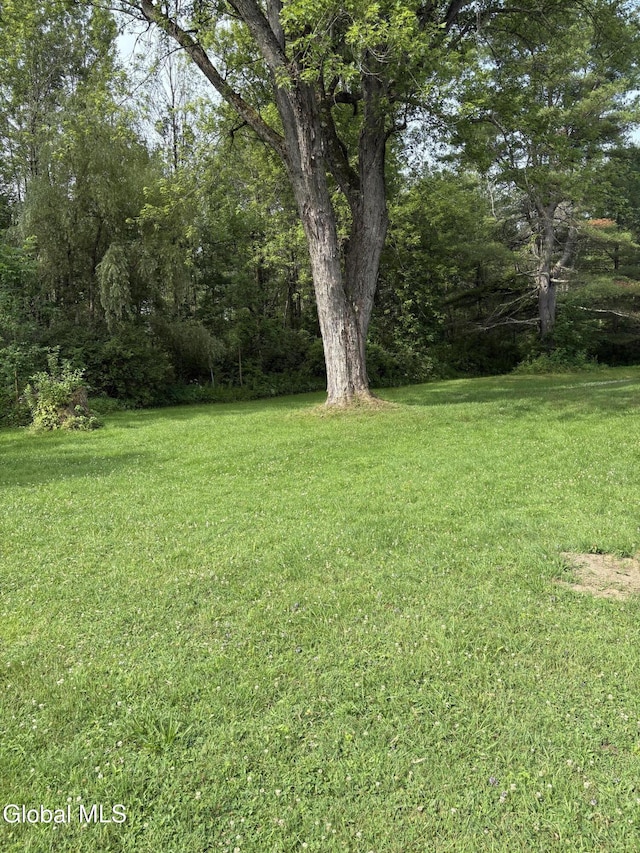 4632 State Highway 30, Broadalbin, NY 12010 - view of grassy yard