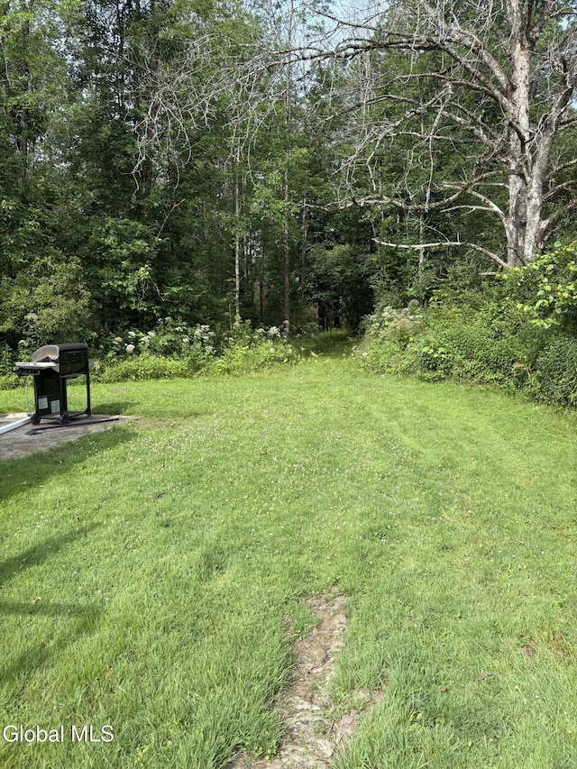 4632 State Highway 30, Broadalbin, NY 12010 - view of green lawn