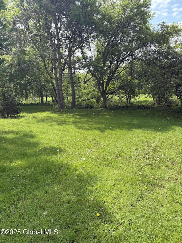 353 Truax Rd, Amsterdam, NY 12010 - view of green lawn