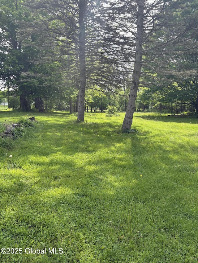 353 Truax Rd, Amsterdam, NY 12010 - view of grassy yard
