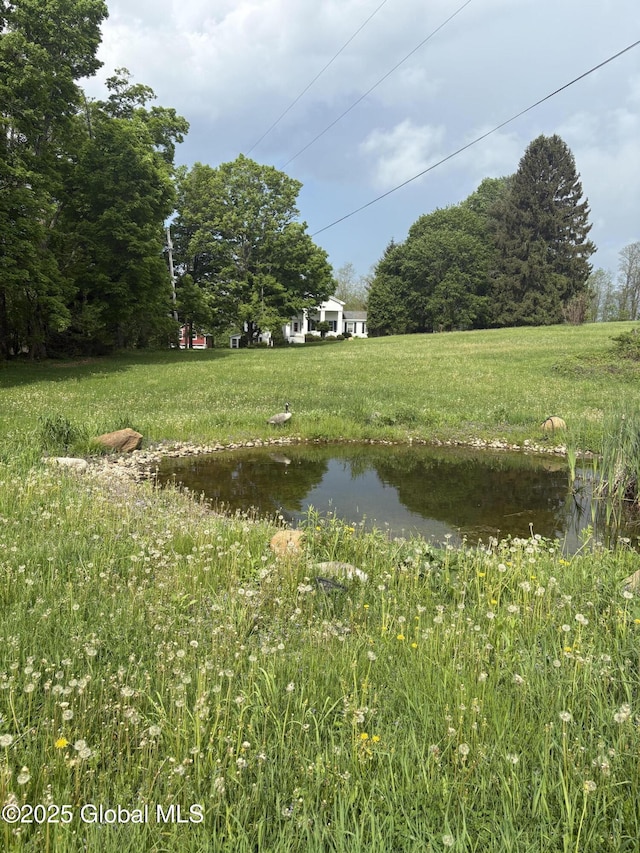 353 Truax Rd, Amsterdam, NY 12010 - view of yard with a water view