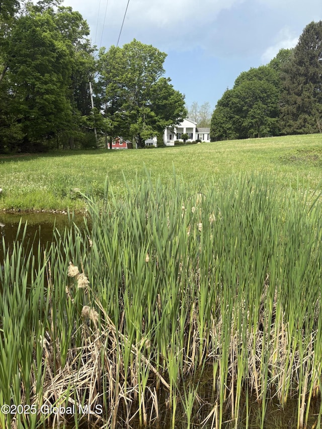 353 Truax Rd, Amsterdam, NY 12010 - view of yard