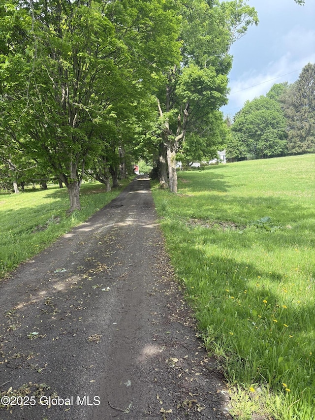 353 Truax Rd, Amsterdam, NY 12010 - view of street