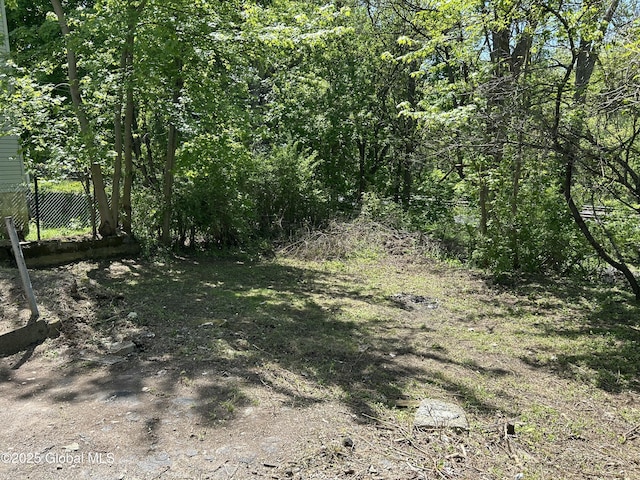 view of undeveloped land
