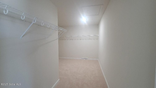 35 Sally St, Halfmoon, NY 12118 - spacious closet featuring carpet floors