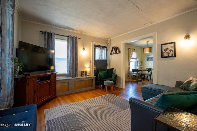 8 Pineridge Pl, Bethlehem, NY 12054 - living area with plenty of natural light, light wood finished floors, and ornamental molding