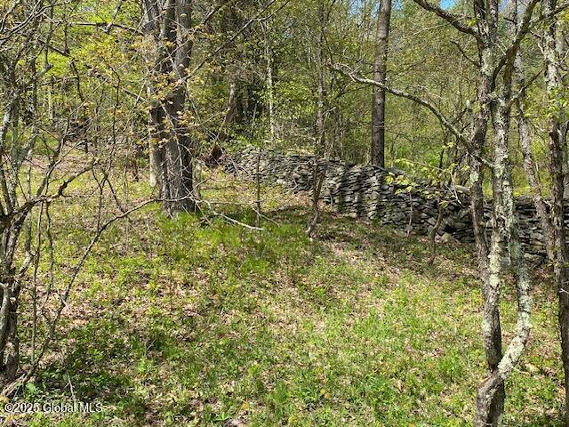 L27.05 County Highway 40, Worcester, NY 12197