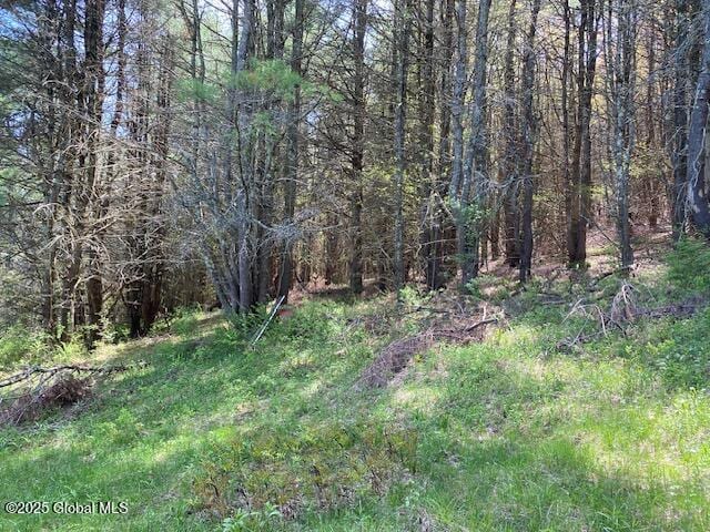 L27.05 County Highway 40, Worcester, NY 12197