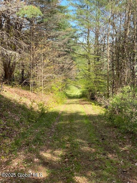 L27.05 County Highway 40, Worcester, NY 12197