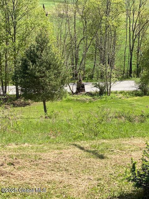 L27.05 County Highway 40, Worcester, NY 12197