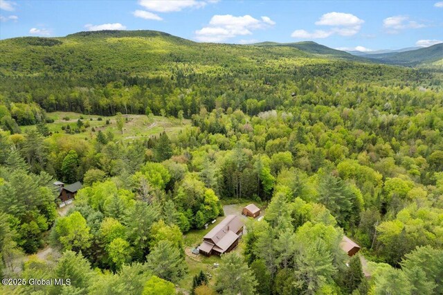 152 Sweenie Fields Rd, Schroon Lake, NY 12870 - aerial view of a forest and a mountain backdrop
