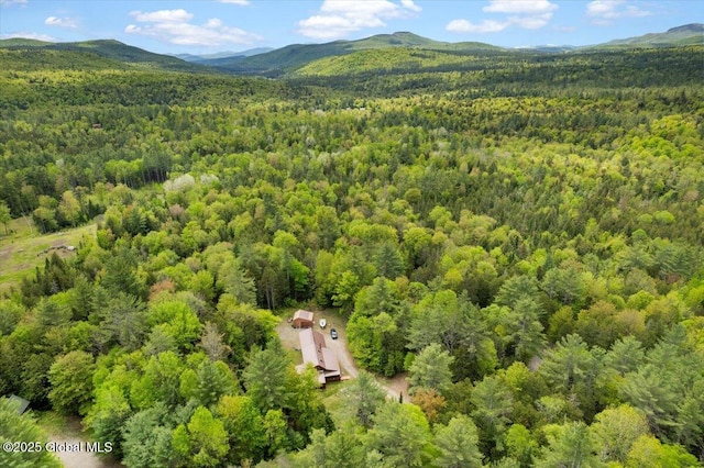 152 Sweenie Fields Rd, Schroon Lake, NY 12870 - aerial view of a forest and mountains