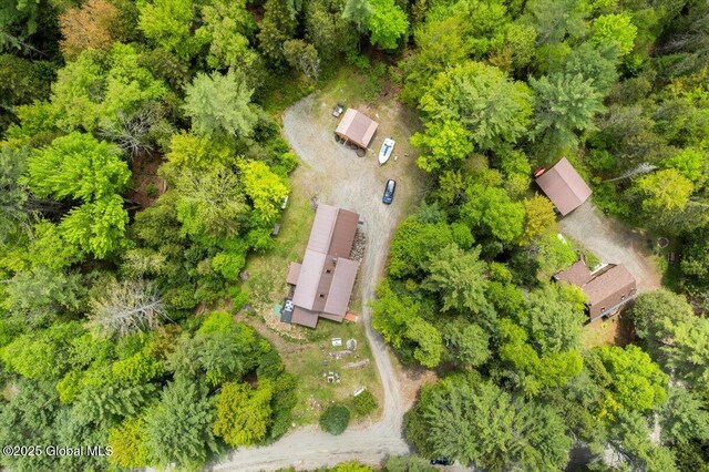 152 Sweenie Fields Rd, Schroon Lake, NY 12870 - bird's eye view