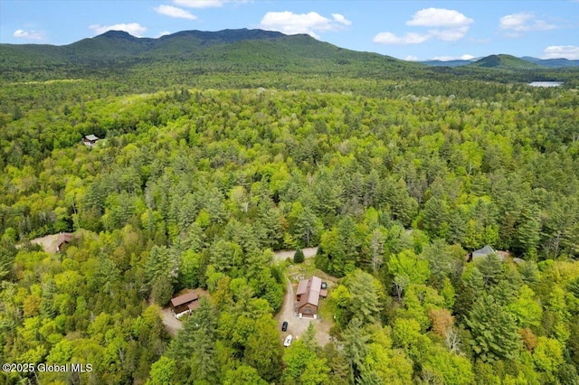 152 Sweenie Fields Rd, Schroon Lake, NY 12870 - bird's eye view of a heavily wooded area and mountains