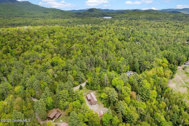 152 Sweenie Fields Rd, Schroon Lake, NY 12870 - drone / aerial view of a heavily wooded area and mountains