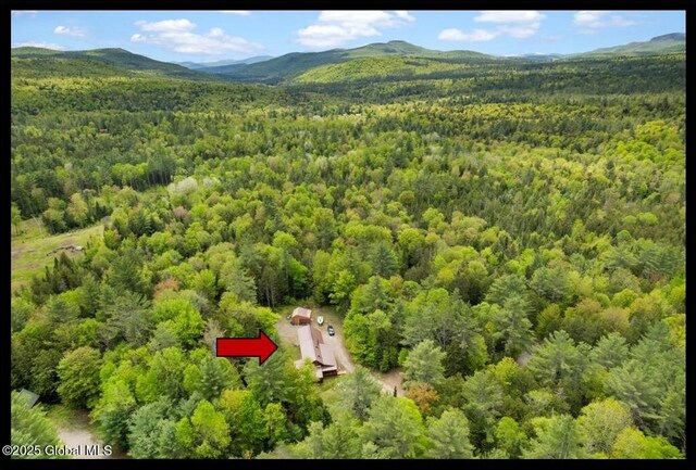 152 Sweenie Fields Rd, Schroon Lake, NY 12870 - aerial view of a heavily wooded area and mountains