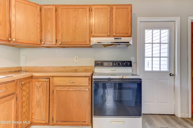 6 William St, Gloversville, NY 12078 - kitchen with white electric range oven, under cabinet range hood, light countertops, and light wood-style flooring