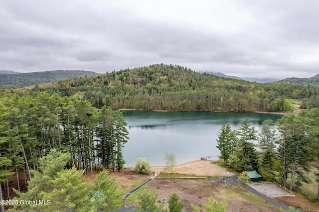 19 Karen St, Warrensburg, NY 12885 - water view featuring a heavily wooded area and mountains