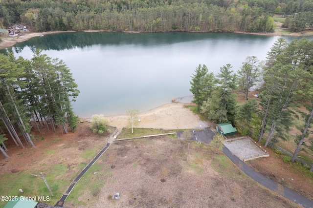 19 Karen St, Warrensburg, NY 12885 - aerial view of property's location with a large body of water and a forest