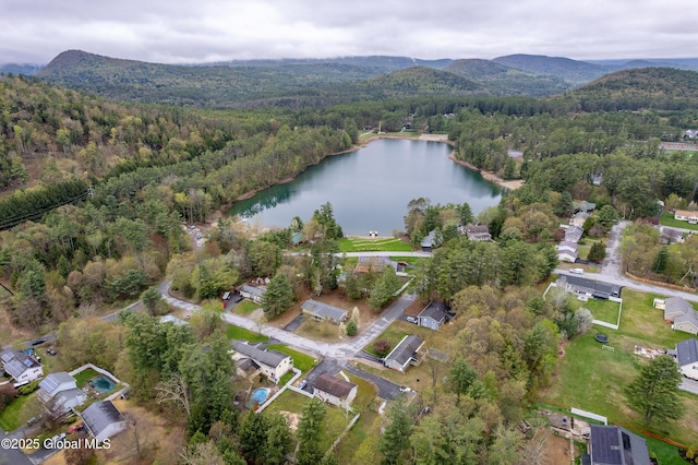 19 Karen St, Warrensburg, NY 12885 - aerial view of property's location featuring a heavily wooded area and a water and mountain view