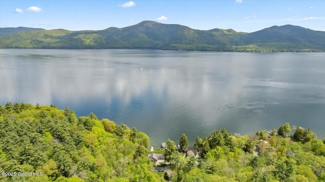 31 Fish Point Rd, Bolton, NY 12824 - water view with mountains