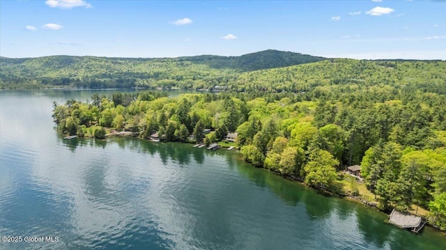 31 Fish Point Rd, Bolton, NY 12824 - drone / aerial view of a heavily wooded area and a water and mountain view