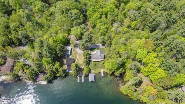 31 Fish Point Rd, Bolton, NY 12824 - aerial overview of property's location with a forest and a nearby body of water