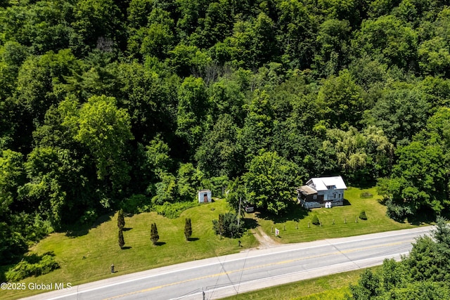 4474 State Highway 5, Fonda, NY 12068 - view of subject property featuring a heavily wooded area