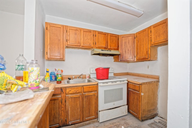 113 Lark St, Albany, NY 12210 - photo 5