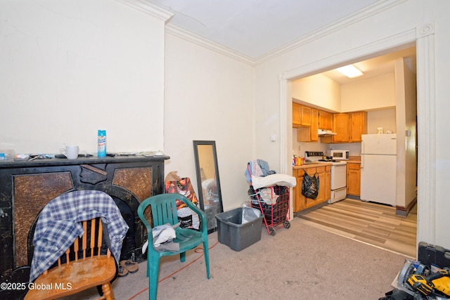 113 Lark St, Albany, NY 12210 - photo 10