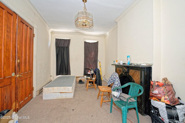 113 Lark St, Albany, NY 12210 - photo 14