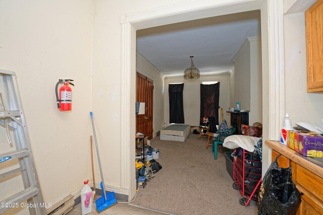 113 Lark St, Albany, NY 12210 - photo 16