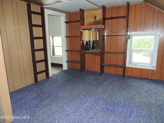 30 Prospect St, Warrensburg, NY 12885 - kitchen with carpet floors, wooden walls, and brown cabinetry