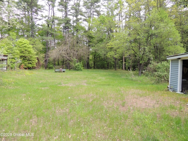 30 Prospect St, Warrensburg, NY 12885 - view of yard