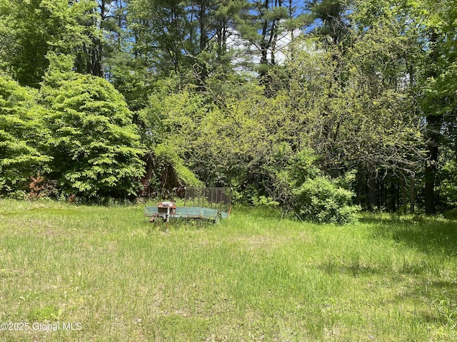 30 Prospect St, Warrensburg, NY 12885 - view of yard