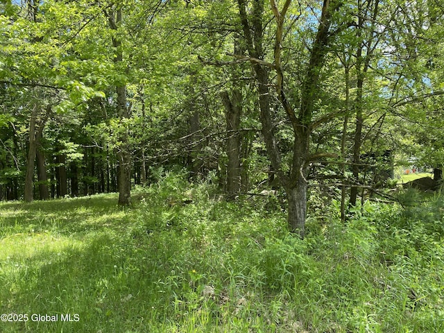 30 Prospect St, Warrensburg, NY 12885 - view of wooded area