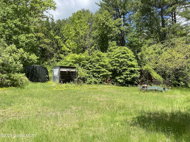 30 Prospect St, Warrensburg, NY 12885 - view of yard with a forest view