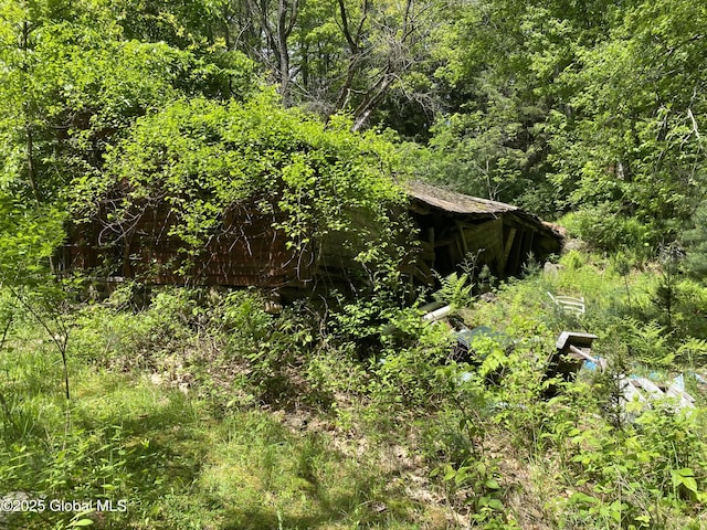 30 Prospect St, Warrensburg, NY 12885 - view of wooded area