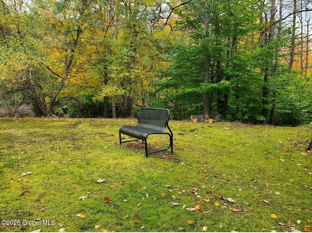 LOT3.3 Drager Rd, Providence, NY 12074