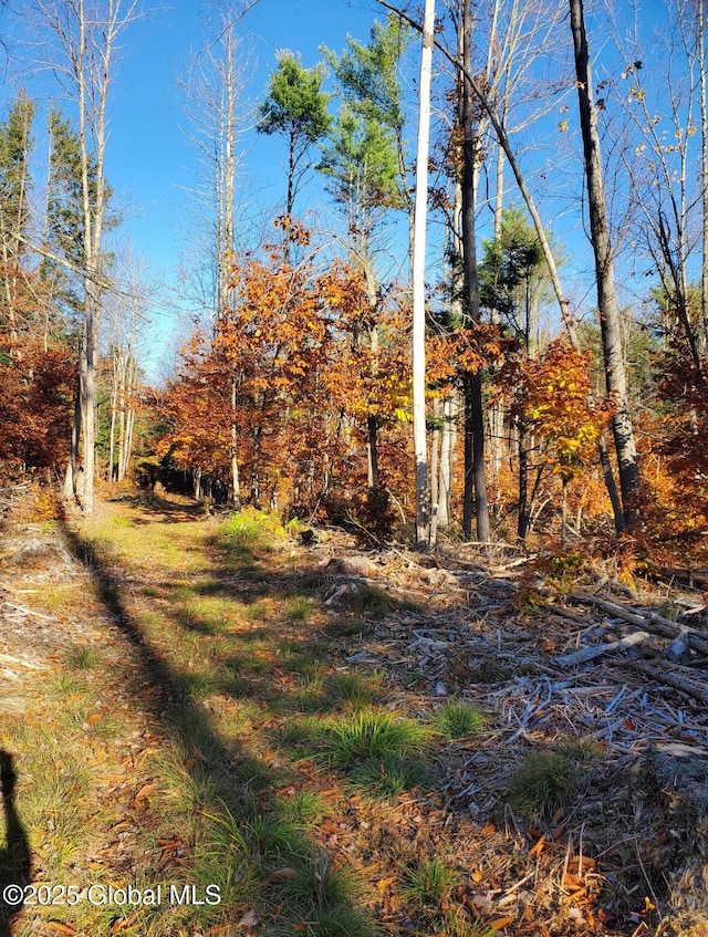 LOT3.3 Drager Rd, Providence, NY 12074