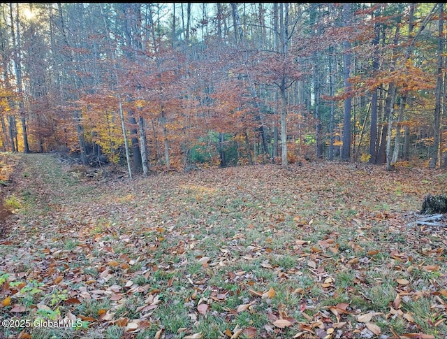 LOT3.3 Drager Rd, Providence, NY 12074
