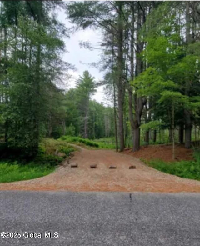 LOT3.3 Drager Rd, Providence, NY 12074