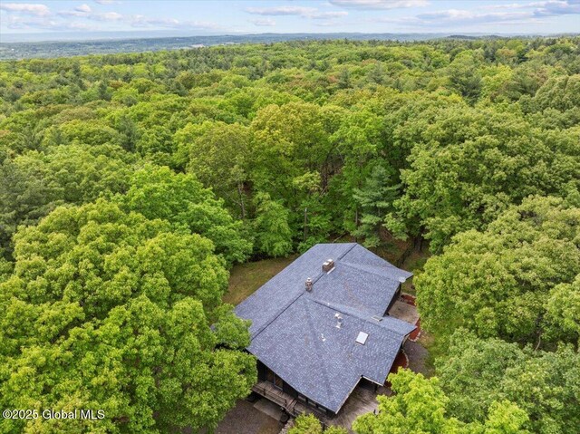 100 Schnackenberg Rd, Ghent, NY 12075 - photo 3