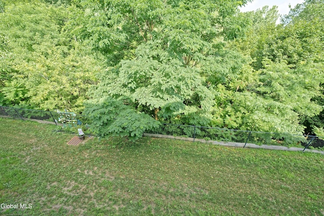 505 Avalon Pl, Cohoes, NY 12047 - photo 46