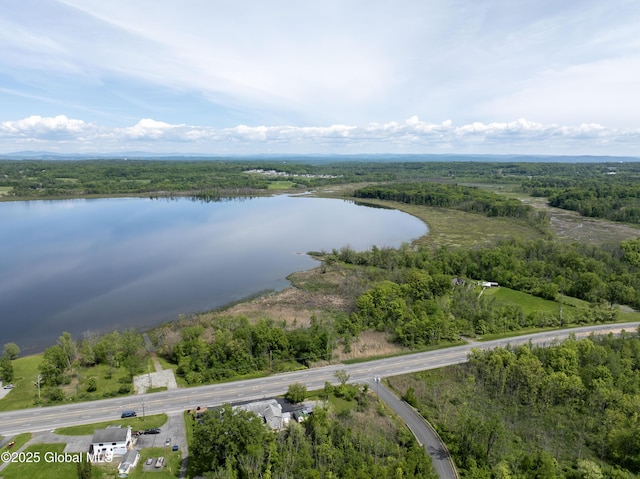 49 N Village Cir, Round Lake, NY 12151 - drone / aerial view of a forest and a nearby body of water