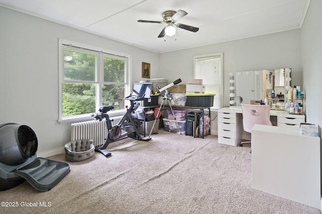 workout area with carpet, ceiling fan, radiator, and ornamental molding