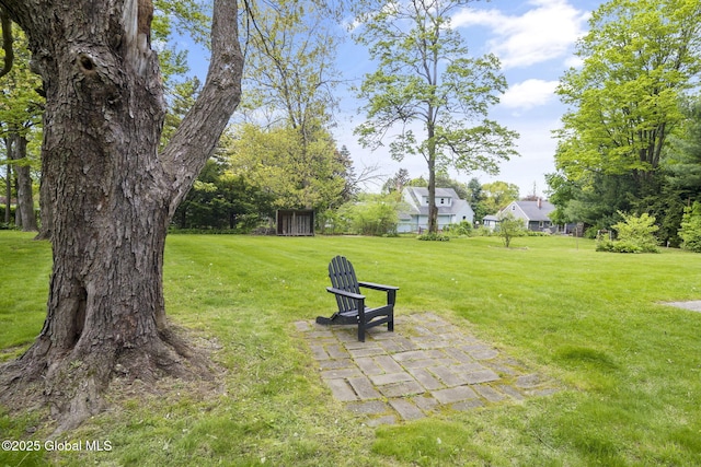 view of grassy yard